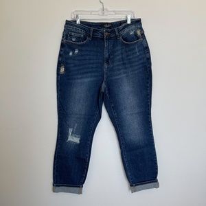 Judy Blue Embroidered Jeans